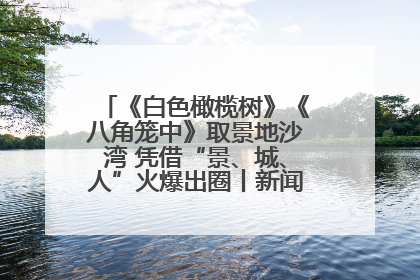《白色橄榄树》《八角笼中》取景地沙湾 凭借“景、城、人”火爆出圈丨新闻发布最前线