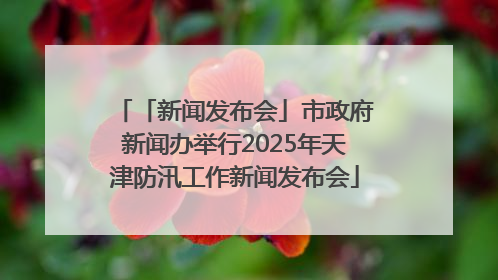 「新闻发布会」市政府新闻办举行2025年天津防汛工作新闻发布会