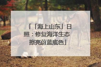 「海上山东」日照：修复海洋生态 擦亮蔚蓝底色