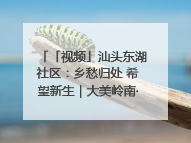 「视频」汕头东湖社区：乡愁归处 希望新生｜大美岭南·百村焕新记