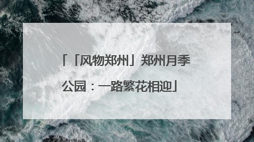 「风物郑州」郑州月季公园：一路繁花相迎