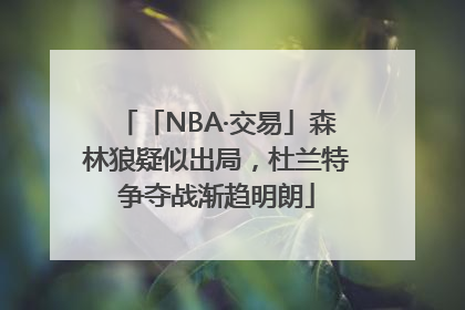 「NBA·交易」森林狼疑似出局，杜兰特争夺战渐趋明朗