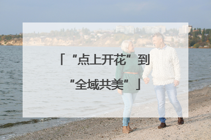 “点上开花”到“全域共美”