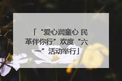 “爱心润童心 民革伴你行”欢度“六一”活动举行