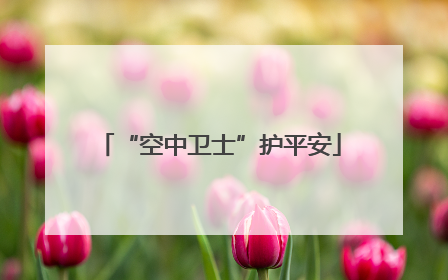 “空中卫士”护平安
