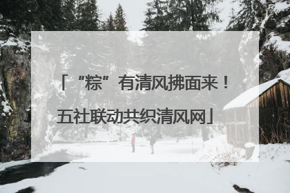 “粽”有清风拂面来！五社联动共织清风网