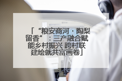 “粮安商河・陶梨留香”：三产融合赋能乡村振兴 跨村联建绘就共富画卷