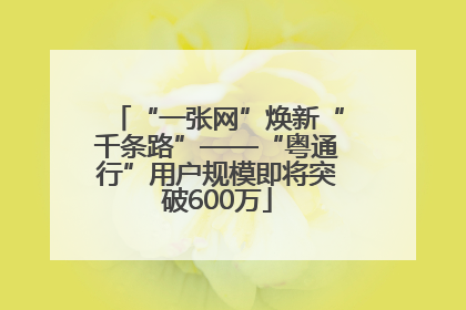 “一张网”焕新“千条路”——“粤通行”用户规模即将突破600万