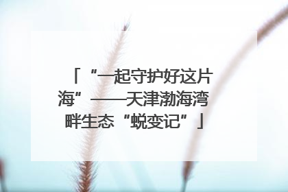 “一起守护好这片海”——天津渤海湾畔生态“蜕变记”
