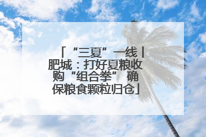 “三夏”一线丨肥城：打好夏粮收购“组合拳” 确保粮食颗粒归仓