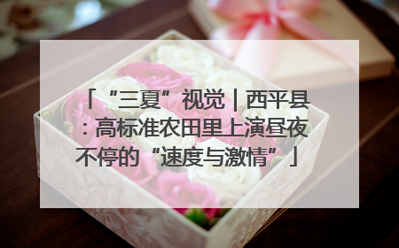 “三夏”视觉｜西平县：高标准农田里上演昼夜不停的“速度与激情”