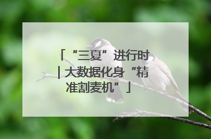 “三夏”进行时｜大数据化身“精准割麦机”