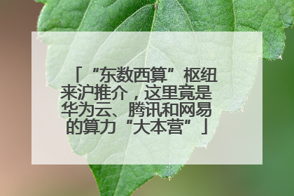 “东数西算”枢纽来沪推介，这里竟是华为云、腾讯和网易的算力“大本营”