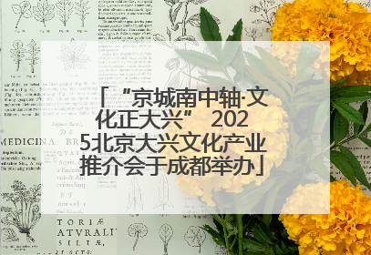 “京城南中轴·文化正大兴” 2025北京大兴文化产业推介会于成都举办