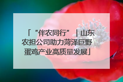 “伴农同行”｜山东农担公司助力菏泽巨野蛋鸡产业高质量发展