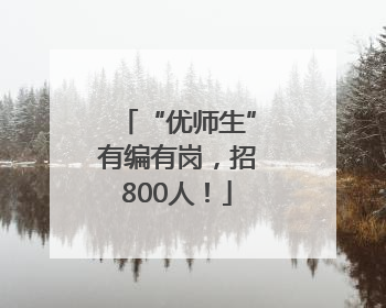 “优师生”有编有岗，招800人！