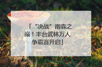 “决战”南森之巅！丰台武林万人争霸赛开启