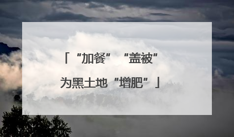 “加餐”“盖被” 为黑土地“增肥”