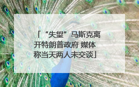 “失望”马斯克离开特朗普政府 媒体称当天两人未交谈