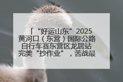 “好运山东”2025黄河口（东营）国际公路自行车赛东营区龙居站 完美“抄作业”，苦战最后时刻黄衫易主