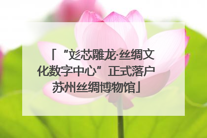 “彣芯雕龙·丝绸文化数字中心”正式落户苏州丝绸博物馆