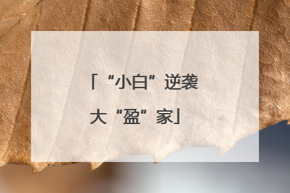 “小白”逆袭大“盈”家