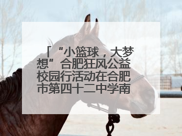 “小篮球，大梦想”合肥狂风公益校园行活动在合肥市第四十二中学南城分校圆满落幕