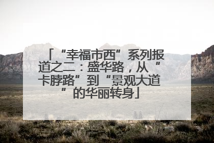 “幸福市西”系列报道之二：盛华路，从“卡脖路”到“景观大道”的华丽转身