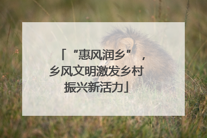 “惠风润乡”，乡风文明激发乡村振兴新活力