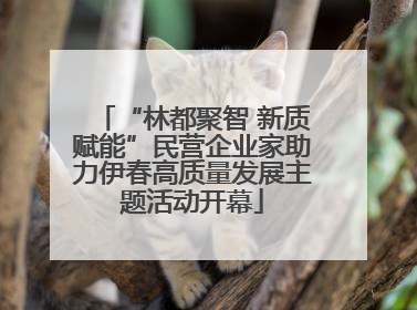 “林都聚智 新质赋能”民营企业家助力伊春高质量发展主题活动开幕