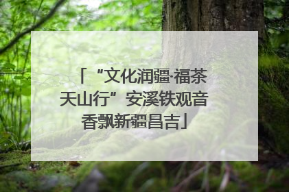 “文化润疆·福茶天山行”安溪铁观音香飘新疆昌吉