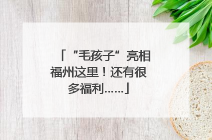 “毛孩子”亮相福州这里！还有很多福利……
