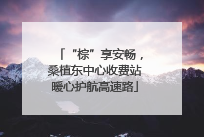 “棕”享安畅，桑植东中心收费站暖心护航高速路