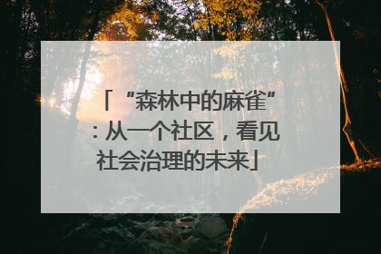 “森林中的麻雀”：从一个社区，看见社会治理的未来