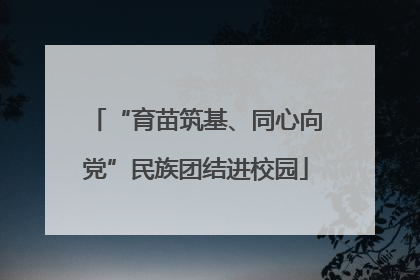 “育苗筑基、同心向党”民族团结进校园