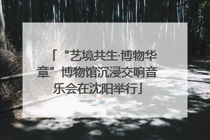 “艺境共生·博物华章”博物馆沉浸交响音乐会在沈阳举行