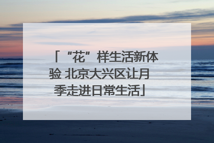 “花”样生活新体验 北京大兴区让月季走进日常生活