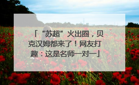 “苏超”火出圈，贝克汉姆都来了！网友打趣：这是名师一对一