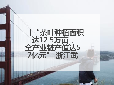 “茶叶种植面积达12.5万亩，全产业链产值达57亿元” 浙江武义茶产业全链发展“加速度”