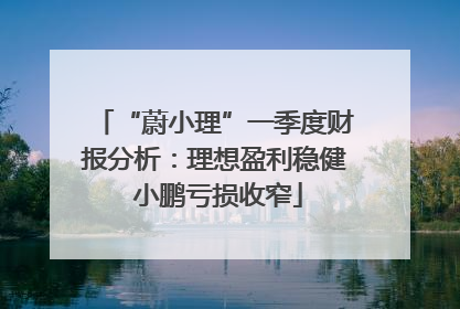 “蔚小理”一季度财报分析：理想盈利稳健 小鹏亏损收窄