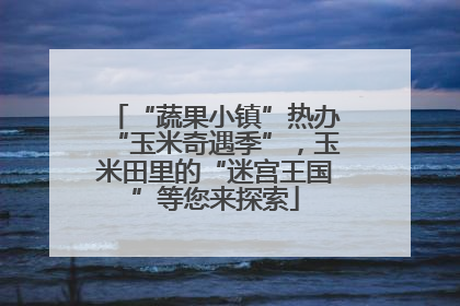 “蔬果小镇”热办“玉米奇遇季”，玉米田里的“迷宫王国”等您来探索