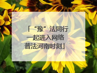 “豫”法同行 一起进入网络普法河南时刻