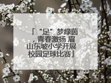 “足”梦绿茵，青春激扬 眉山东坡小学开展校园足球比赛