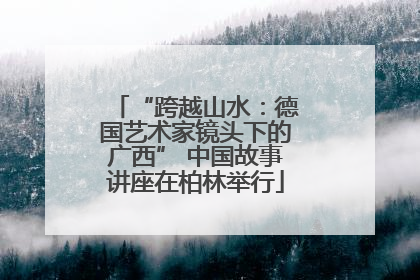 “跨越山水：德国艺术家镜头下的广西” 中国故事讲座在柏林举行