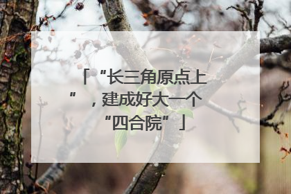 “长三角原点上”，建成好大一个“四合院”