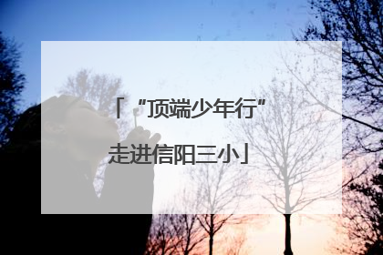 “顶端少年行”走进信阳三小