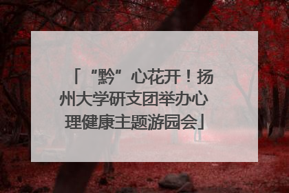 “黔”心花开！扬州大学研支团举办心理健康主题游园会