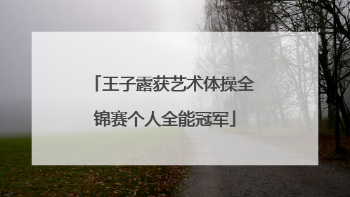 王子露获艺术体操全锦赛个人全能冠军