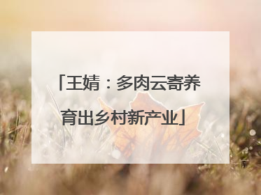 王婧：多肉云寄养 育出乡村新产业