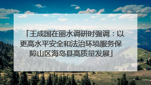 王成国在丽水调研时强调：以更高水平安全和法治环境服务保障山区海岛县高质量发展